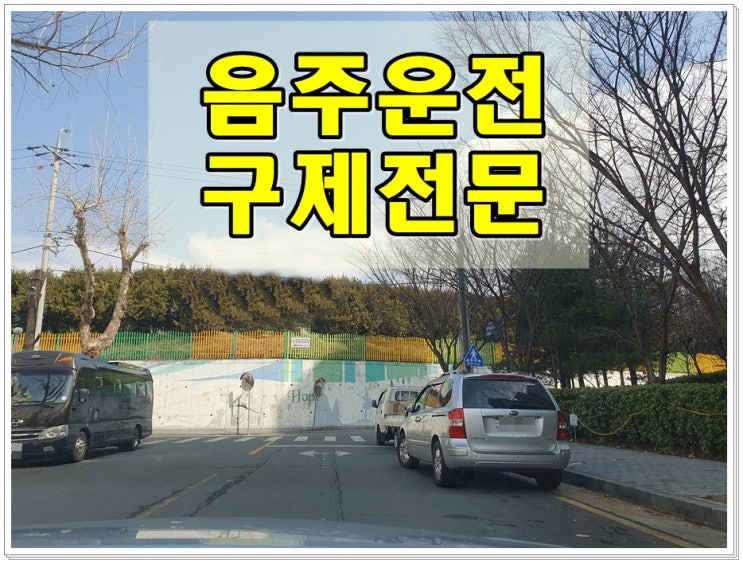  대구 행정사 음주운전 면허취소 정지 처분으로 구제 확률은