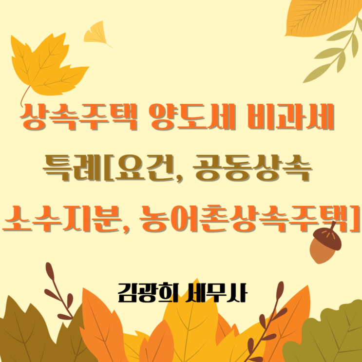  상속주택 양도세 비과세 특례[요건, 공동상속 소수지분, 농어촌상속주택]