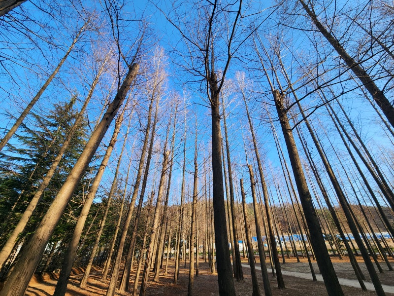 사진 2