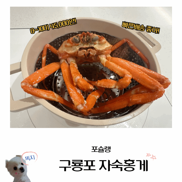  구룡포홍게 X 양념게장 제철 자숙홍게 맛있는 곳 (feat.포슐랭)