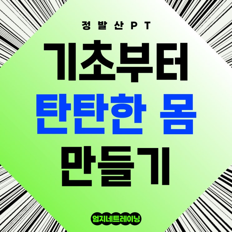  정발산pt 기초부터 탄탄한 몸 만들기 위한 첫걸음