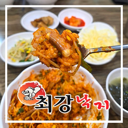  청량리 동대문 낙지 요리 전문 맛집 낙지볶음 최강낙지