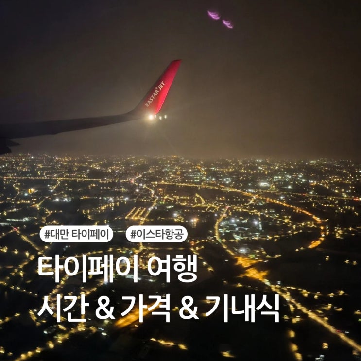 대만비행기시간 이스타항공 사전체크인, 기내식, 주류면세