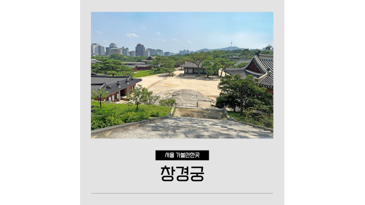  서울 관광 명소 창경궁 명정전부터 후원 대온실까지 궁궐 산책