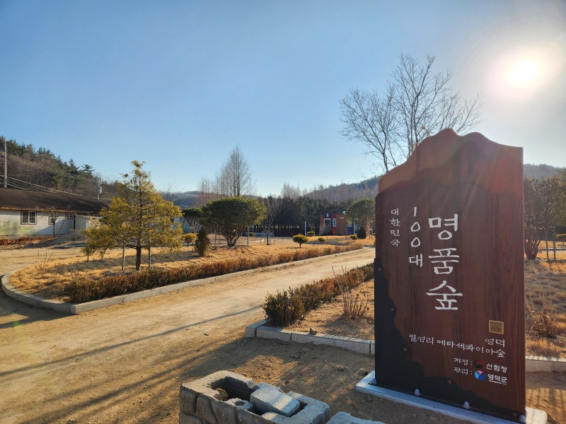 사진 3