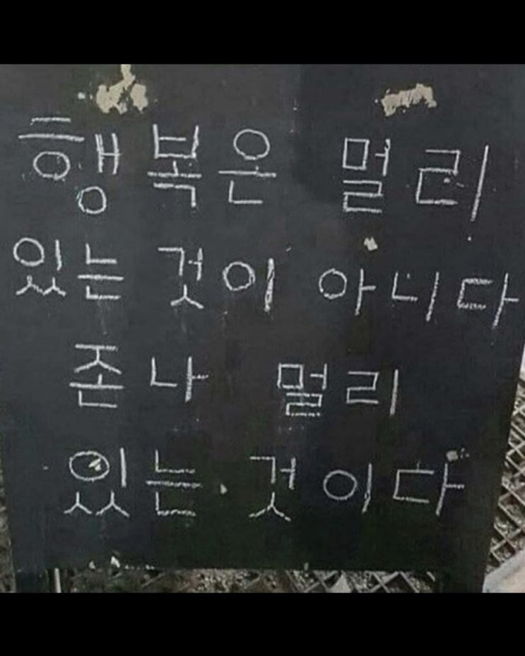  K명언짤 모음