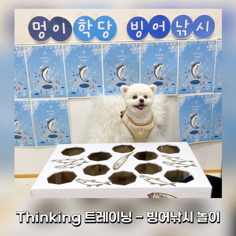 사진 5
