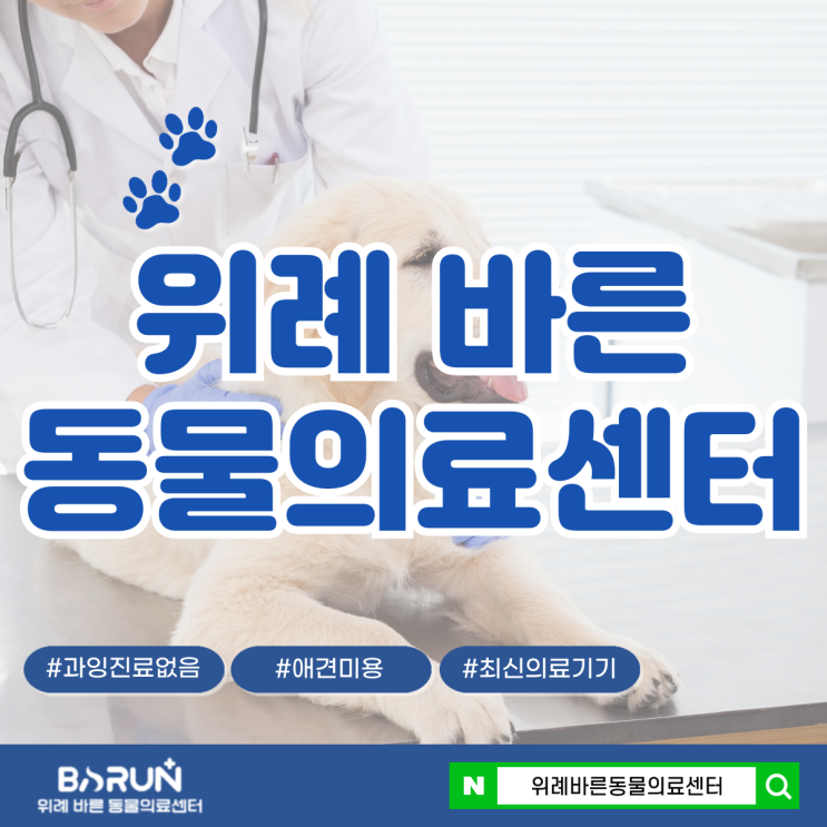  위례동물병원 강아지 건강검진후기