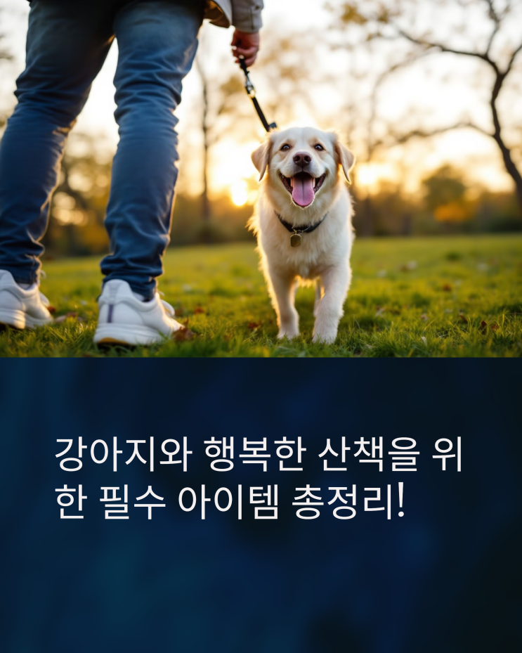  강아지 산책, 행복한 동행을 위한 필수 템 완벽 가이드!