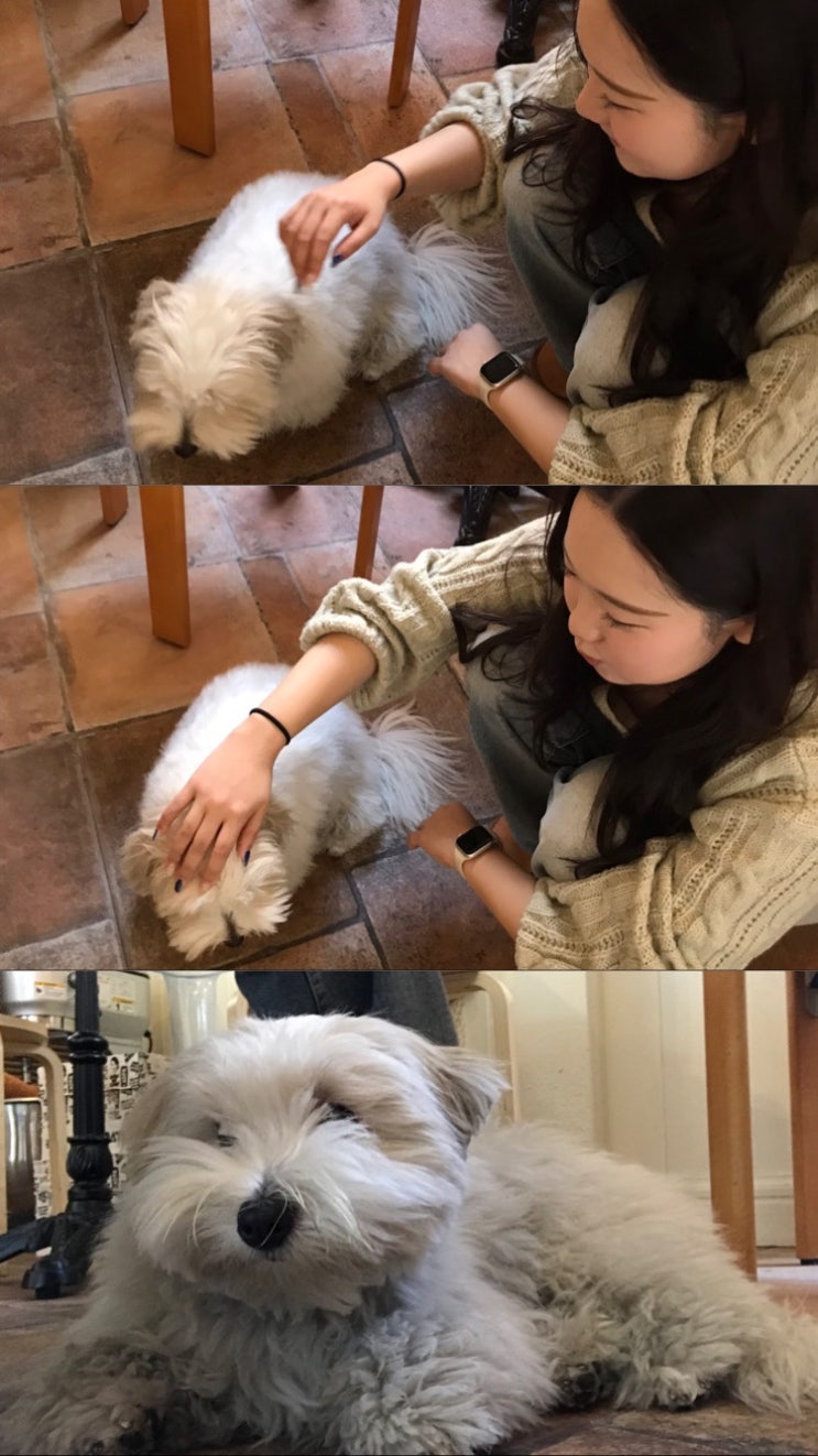 오늘부터, 매일 새롭게