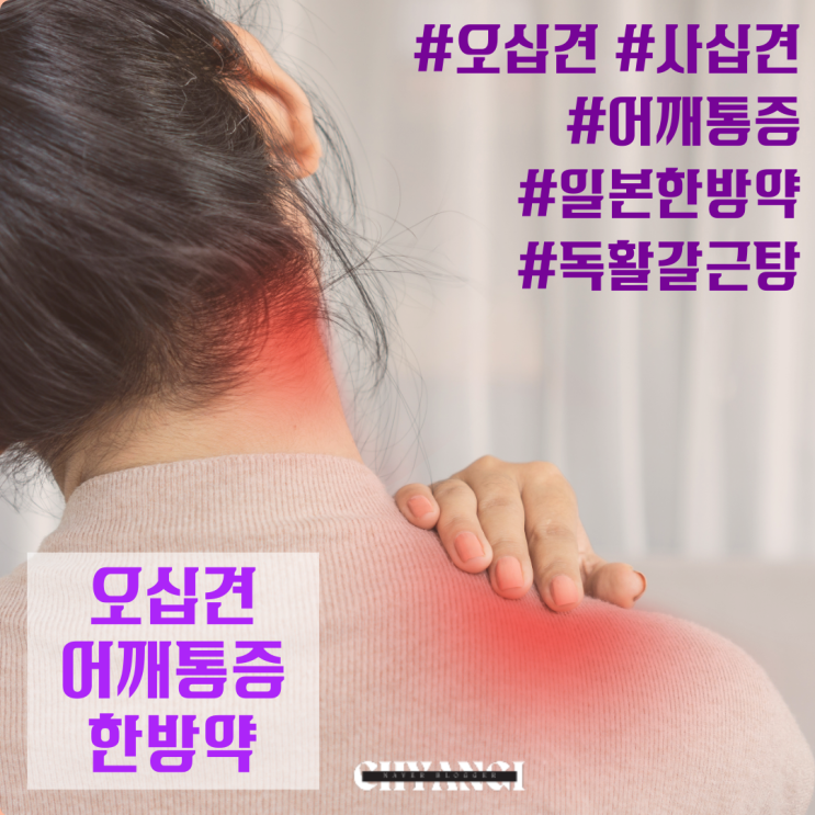  약사추천 일본 한방테라피 한방약 어깨통증 오십견 사십견 독활갈근탕