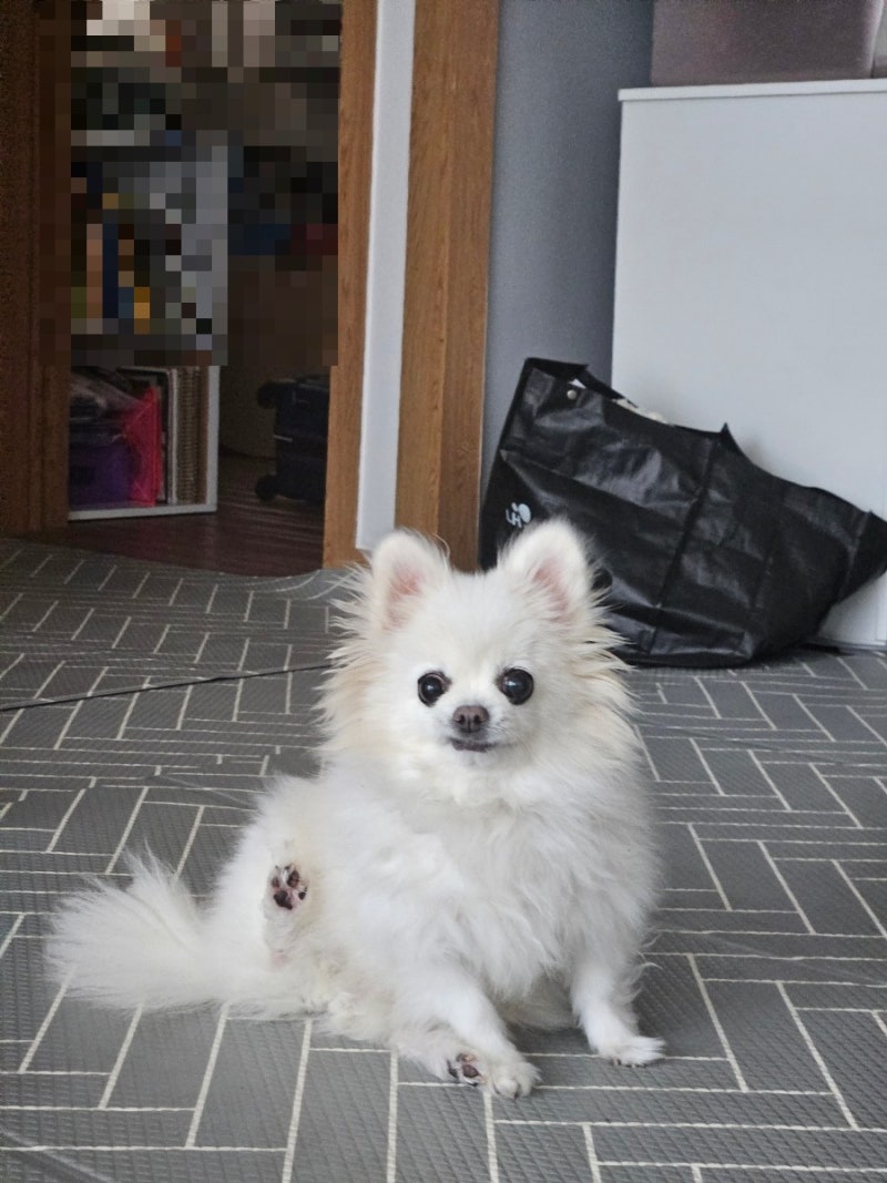 사진 4