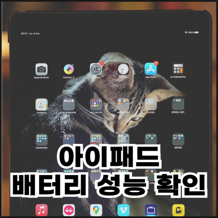  아이패드 배터리 성능 확인 방법(효율, 사이클)