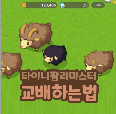  타이니팜 리마스터 교배 갈색 양 검은 양 얻는 방법
