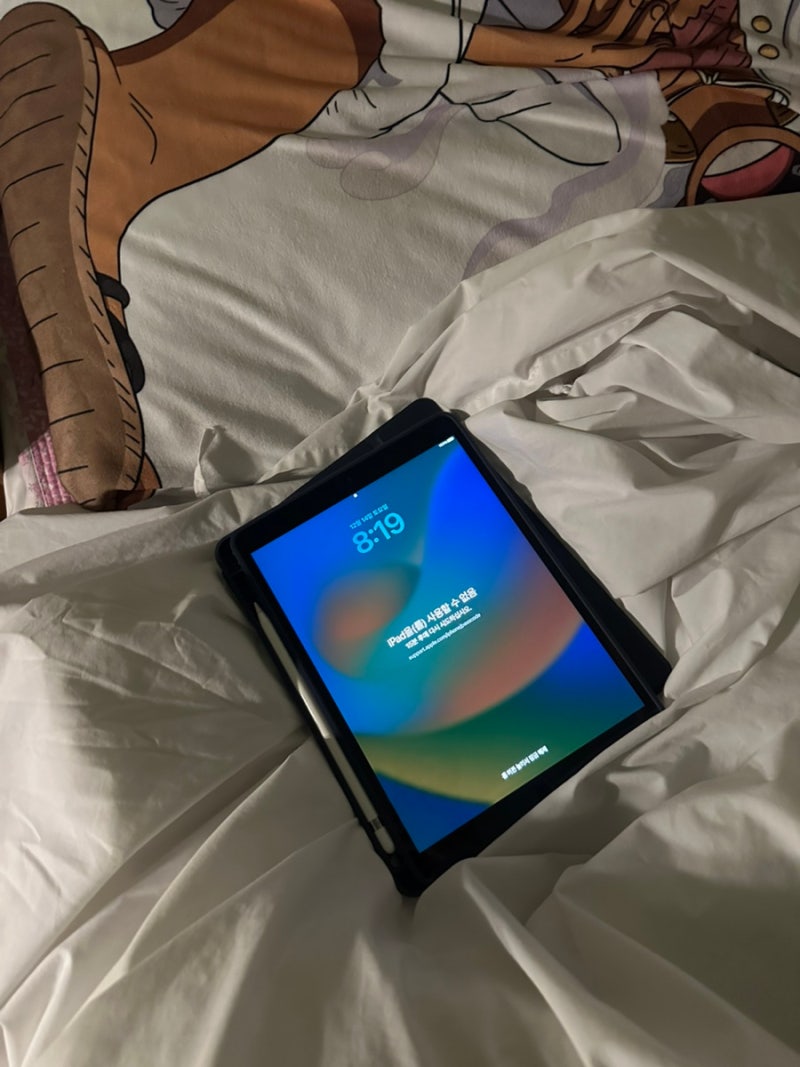 아이패드 에어3 비밀번호 분실...드뎌 초기화 했다..