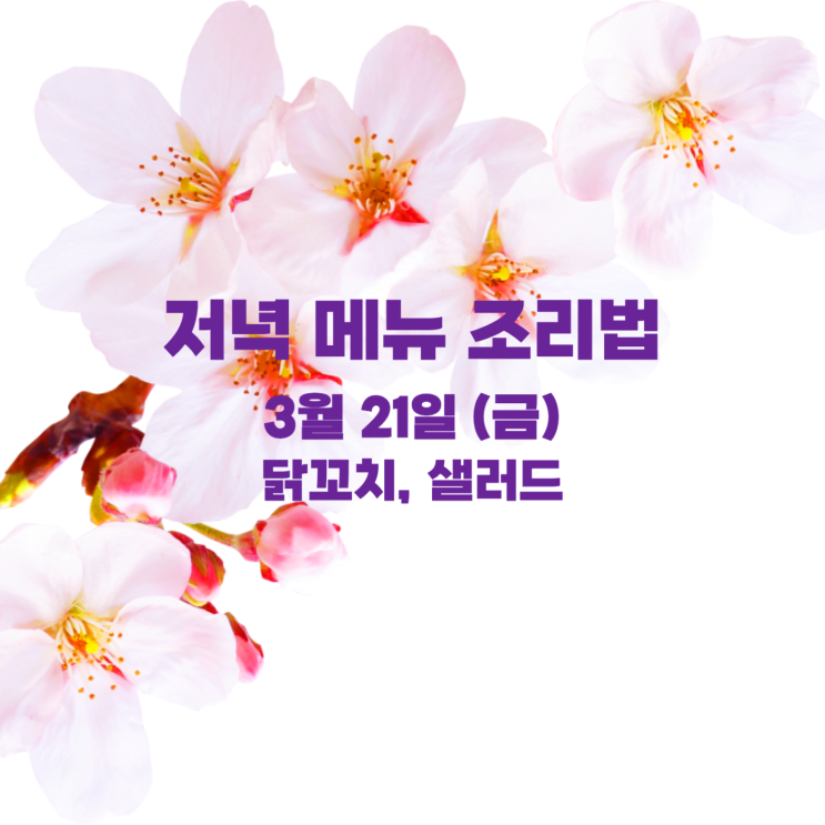  [3월 식단] 3월 21일 : 닭꼬치, 샐러드