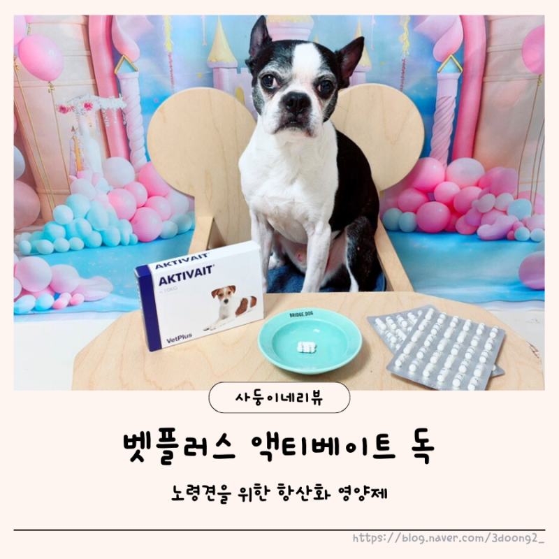 노령견을 위한 액티베이트 강아지항산화영양제