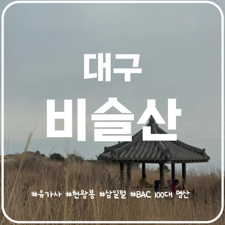 대구 비슬산 등산코스 현풍 비슬산 유가사주차장 원점회귀 대구 비슬산 등산코스 현풍 비슬산 유가사주차장 원점회귀