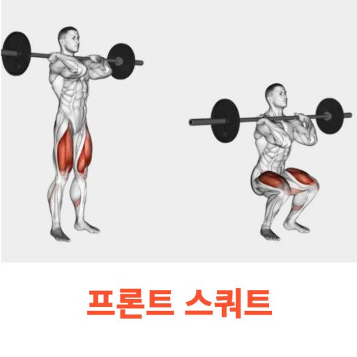 프론트 스쿼트 => 대퇴사두근 및 코어