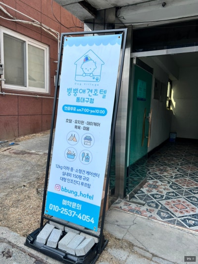사진 5