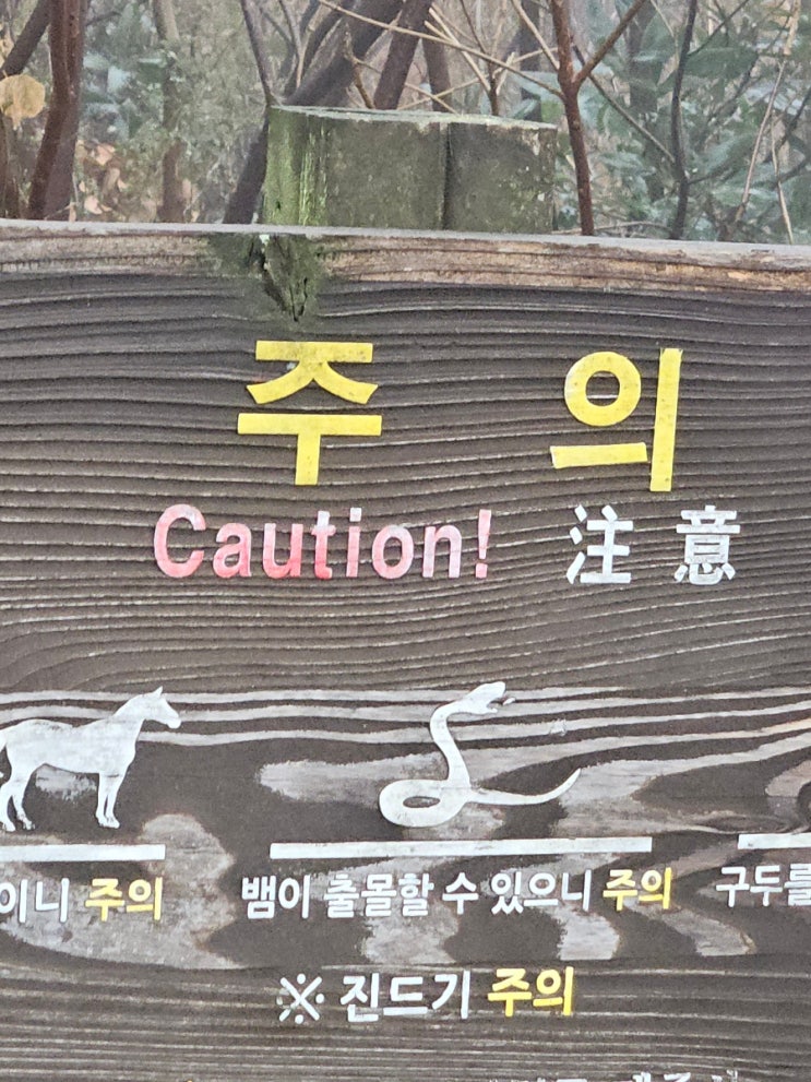  [제주 1일차] 금오름의 환상을 깨주지 ..