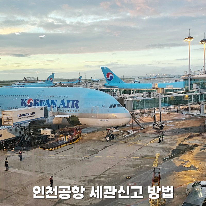 인천공항 세관신고 방법 관세청 모바일 자진신고 후기
