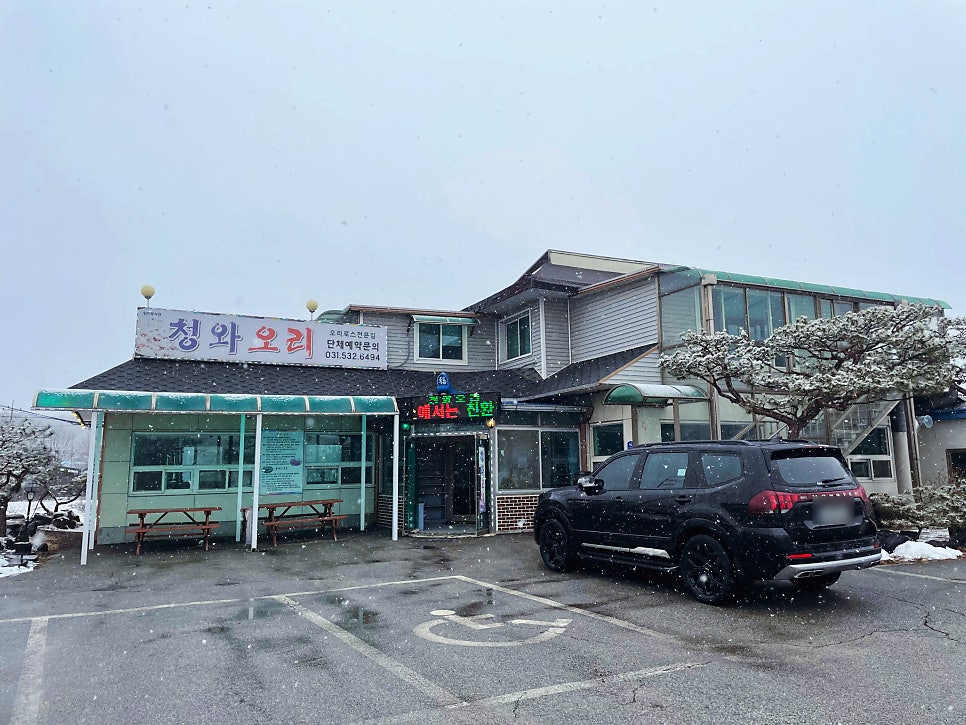 청와오리 사진 3