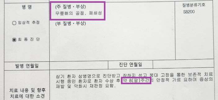 대전시 자전거 보험-사고나면 보험금을 받을 수 있을까