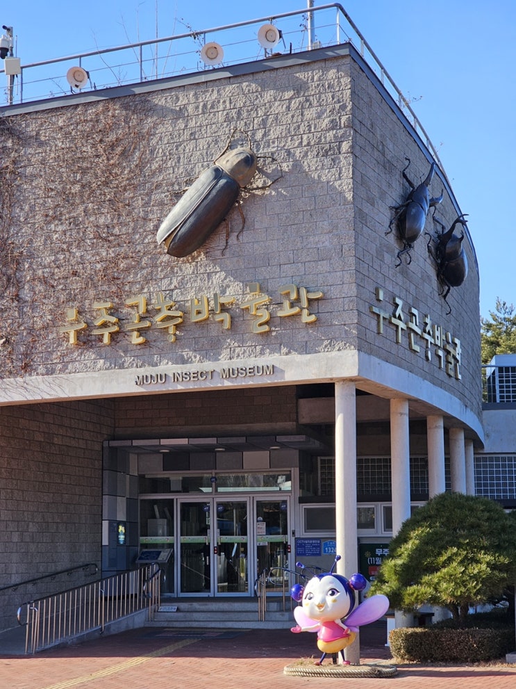  무주 아이와 가볼만한곳 반디랜드 무주 곤충박물관