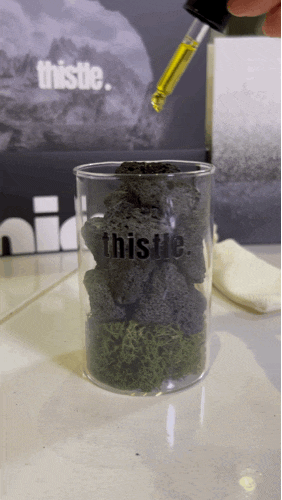 티슬(thistle) 풀향기 스톤디퓨저 집들이선물로 추천