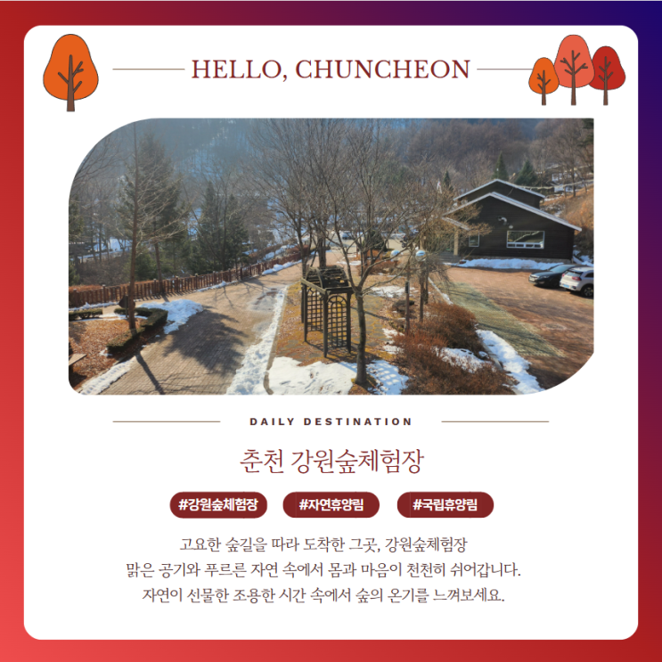  강원숲체험장 휴양관 예약 배치도 바베큐 겨울방문후기