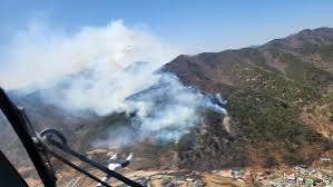 <b>경북 청도</b>군 운문면 <b>산불</b> 확산…산림청, <b>산불</b> 2단계 발령