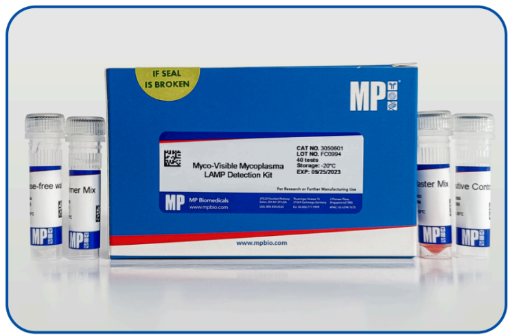  Mycoplasma Detection Kit : Validation Report
