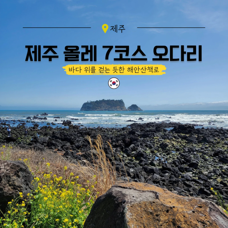  제주도 남쪽 코스 서귀포 가볼만한곳 올레길 7코스 유채꽃 추천