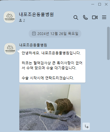 내포조은동물병원 사진 2