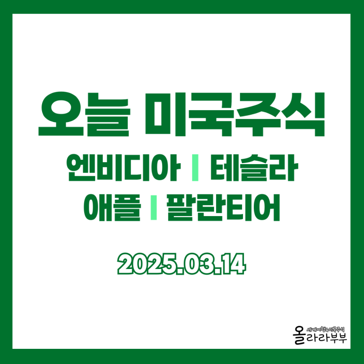  3월 14일 오늘 미국주식 엔비디아 테슬라 팔란티어