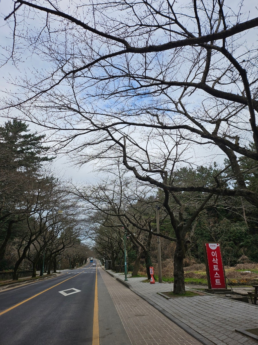 이삭토스트 제주대점 사진 1