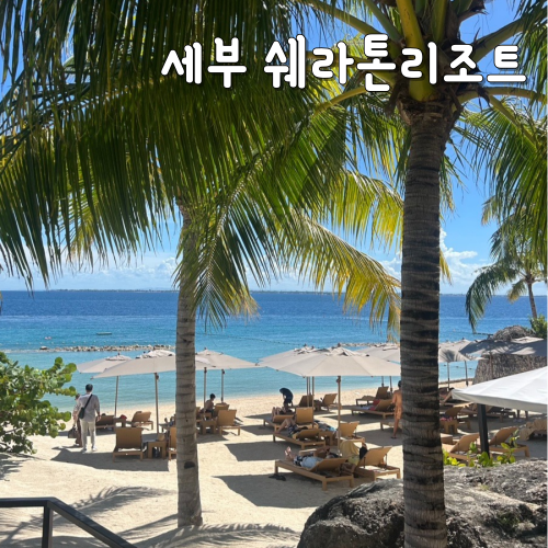  세부 5성급 리조트 추천 쉐라톤 리조트 수영장 내돈내산 후기