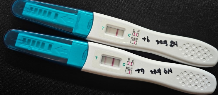  [난임일기] 시험관 동결배아 3일배양 이식 후 7일차~8일차 임테기
