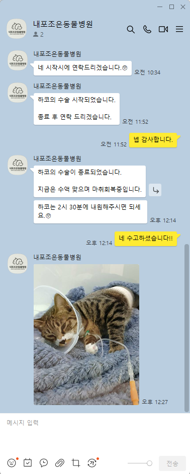 내포조은동물병원 사진 4