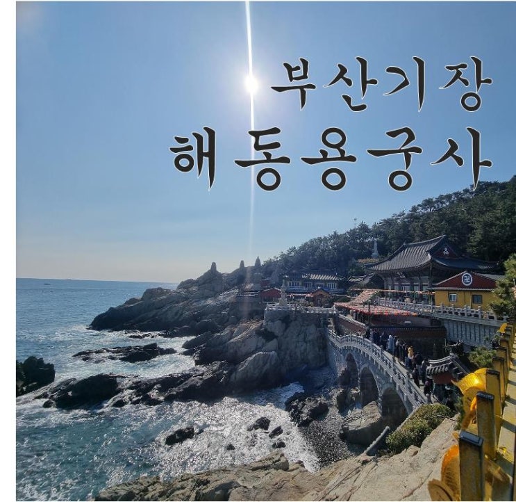  【부산기장가볼만한곳】 바다가 보이는 사찰 해동용궁사