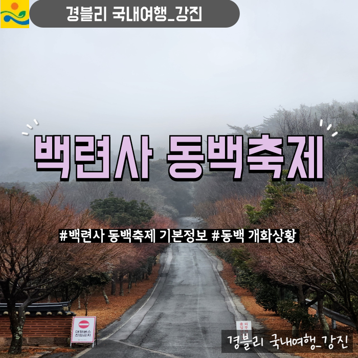  전남봄꽃여행 강진백련사동백축제 기본정보, 동백 개화상황 '백련사'