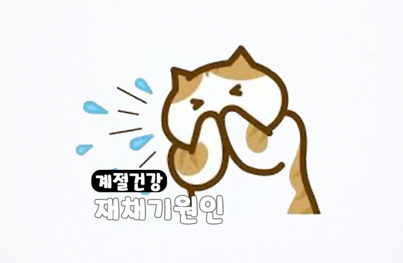 재채기 원인 자주 계속 이유 감기 알르레기 비염 방법