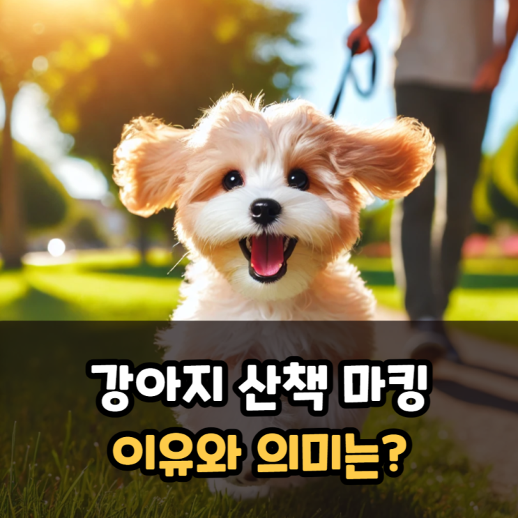  강아지산책마킹 이유와 의미