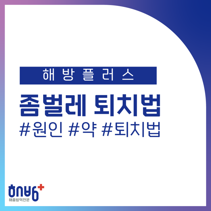  좀벌레 퇴치법! 원인부터 약까지 해방플러스