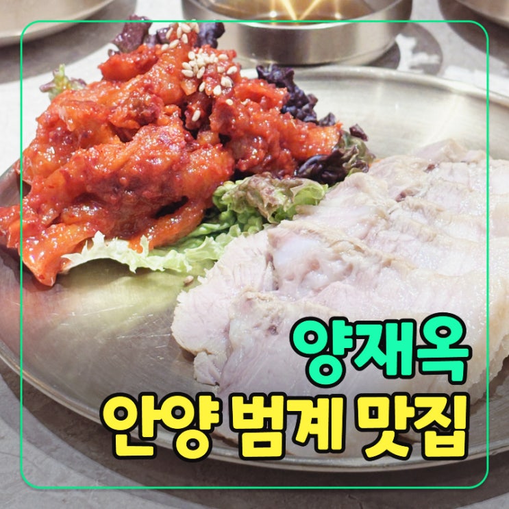  평촌롯데백화점 맛집 양재옥 건강한 가족 한식 추천