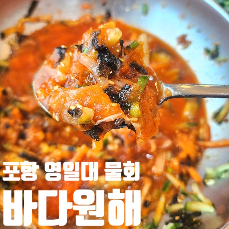  포항 바다원해 영일대 물회 맛집 추천 내돈내산 횟집 솔직후기