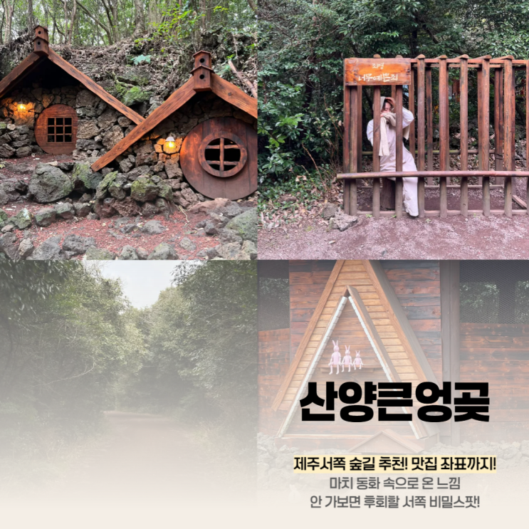  제주 산양큰엉곶 곶자왈 서쪽 숲길 가기좋은곳