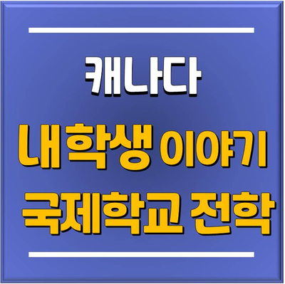  [토리쌤 학생이야기] 캐나다 공립학교 2년 다니고 국제학교로 옮긴 학생 스토리 / 유플 분당유학원