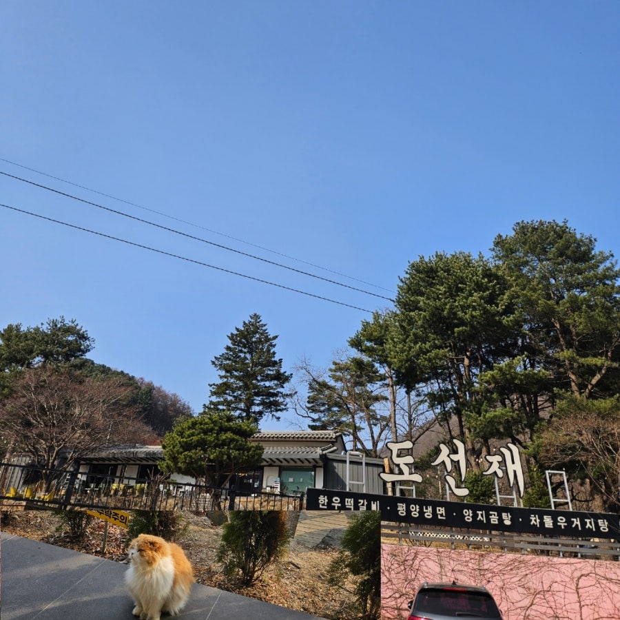 해후 사진 2